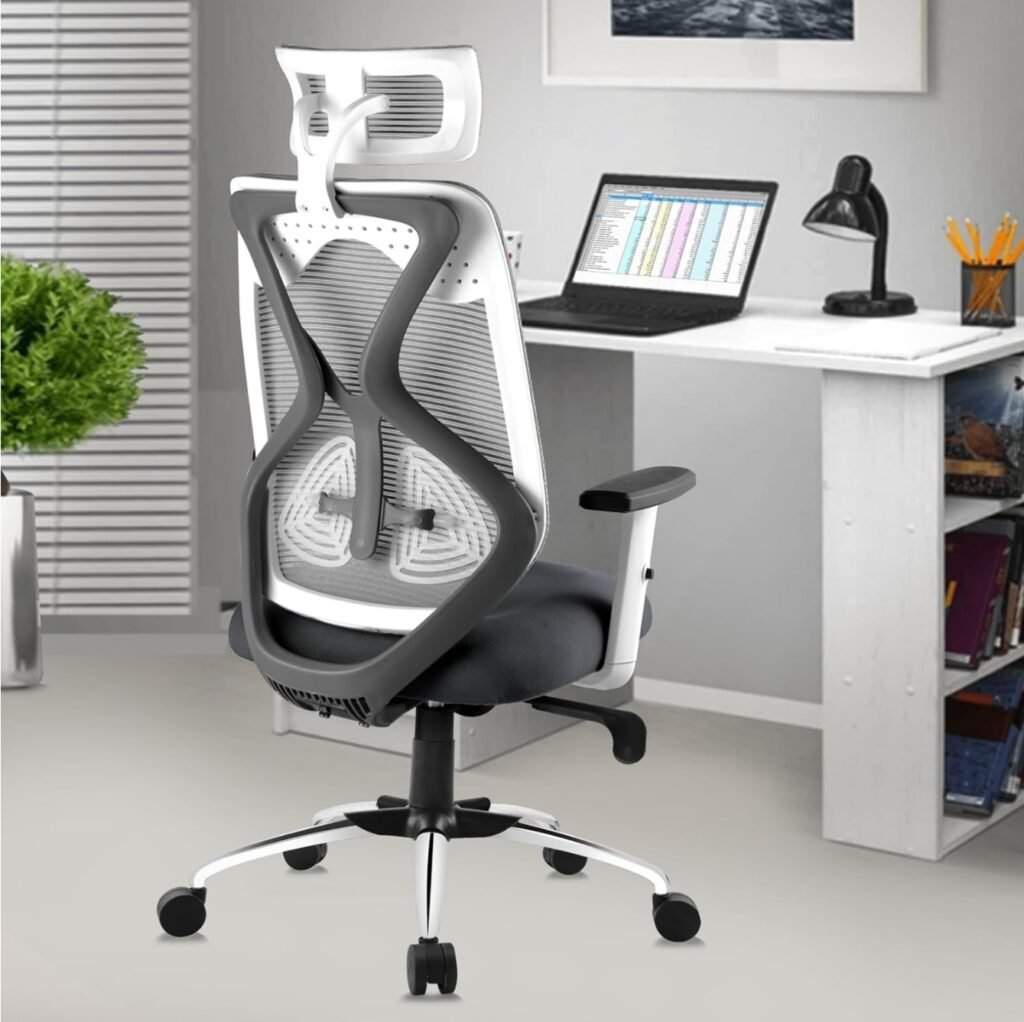 ASTRIDE Ergofit Ergonomic Office Chair